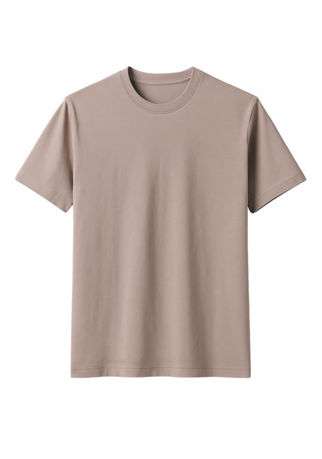 T-shirt Uomo Stone in Cotone Ice Fresco e Minimal ALPHA STUDIO | T-shirt | AU-1330C1006